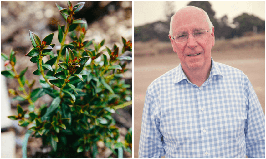 Stephen Tindall (featured) 
