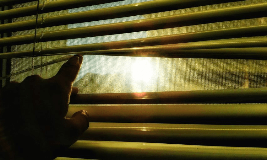 Sergey Salishchev / EyeEm