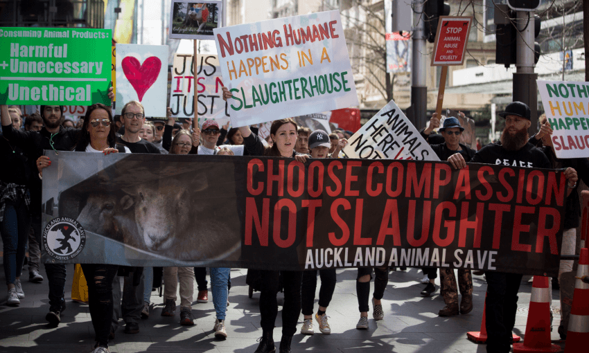 Animal rights protesters in Central Auckland (Supplied: Auckland Vegan Action)  
