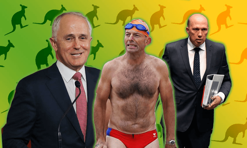 Some of the leading lights of Australian politics in their natural habitats: l-r Malcom Turnbull, Abbott, Peter Dutton 
