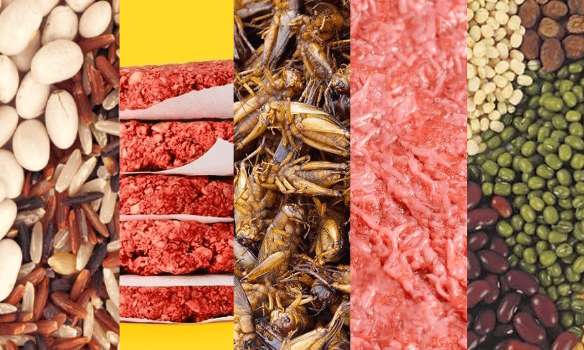 THE FUTURE(S) OF PROTEIN? 
