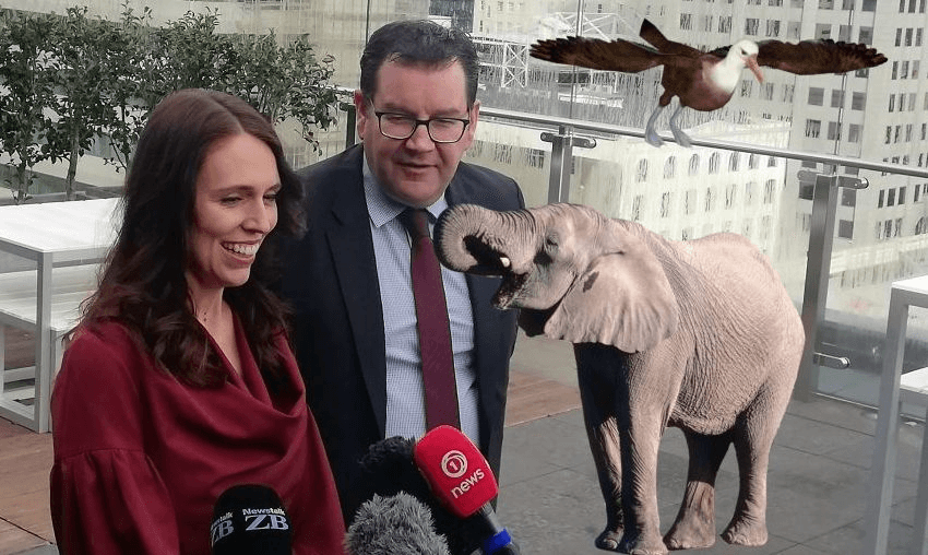 Prime minister Jacinda Ardern and finance minister Grant Robertson at Westpac this morning with an albatross and an elephant 
