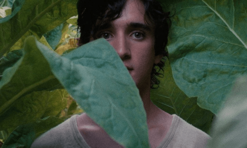 Happy As Lazzaro