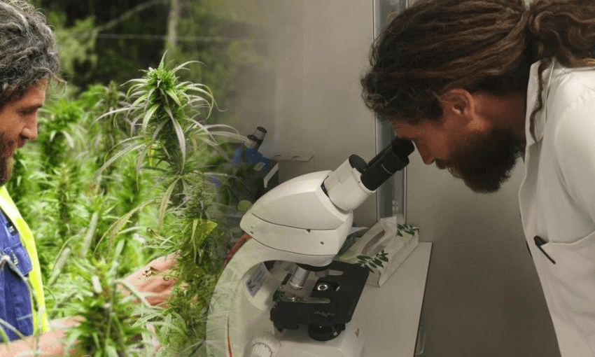 Photo: Hikurangi Enterprises