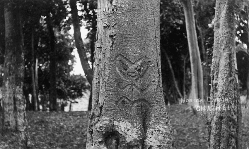 Tree carving on the Chatham Islands, ca 1900 by an unknown photographer. 
