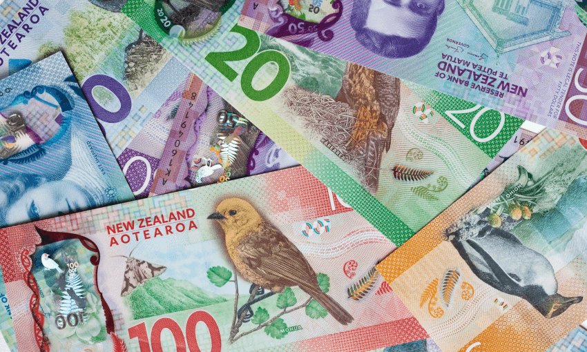 Pile of New Zealand currency laying flat on table