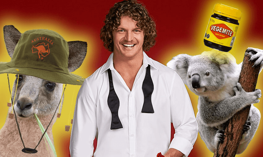 Kangaroo, Honey Badger, Koala. 
