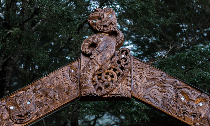 Riuwaka waharoa, Kahurangi National Park. 
