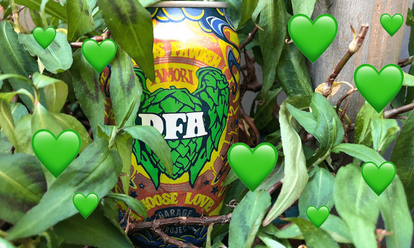 DFA hanging out in a slightly sad-looking Vietnamese mint plant (Photo: Alice Neville) 
