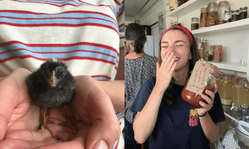 Sophie’s very own chick, and classmate Ellen with her probiotic tomato ketchup –  Ballymaloe is fanatical about fermentation 

