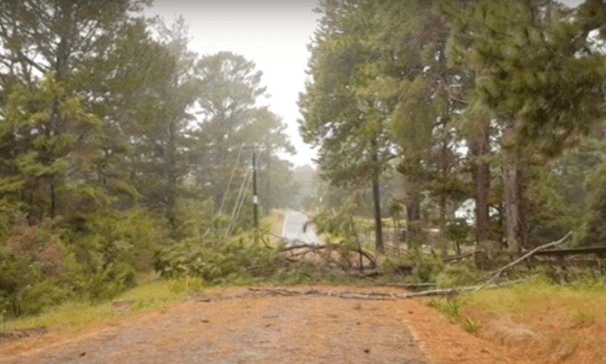 Trees downed powerlines during the storms that hit Auckland earlier this year, cutting power to much of the city (Supplied)  
