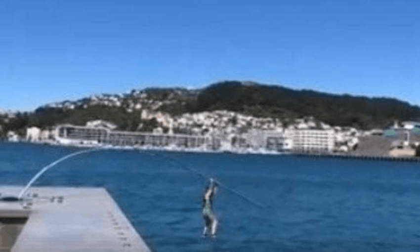 How on earth were you bored, Hunter?