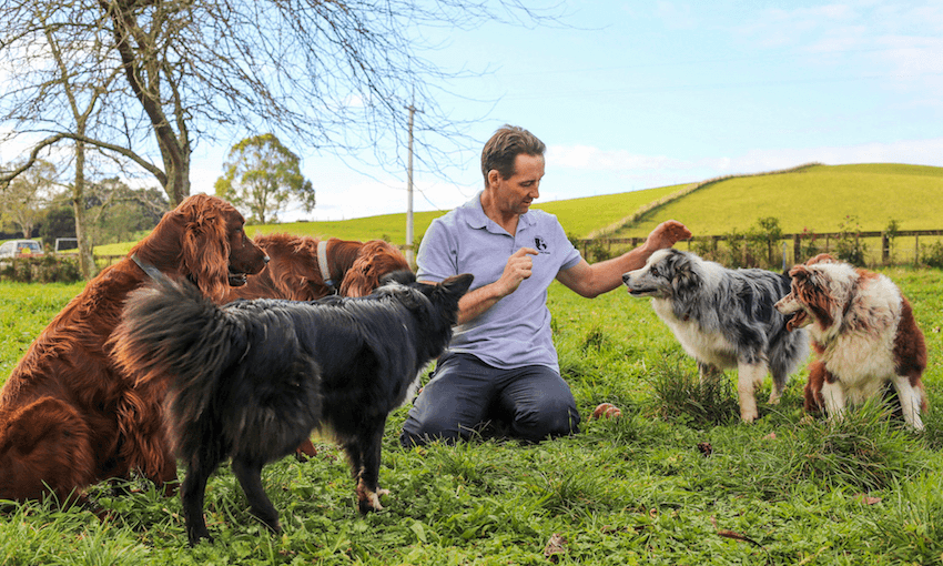 NZ dog behaviourist Darran Rowe says dogs are looking for more than verbal cues when we talk to them. Photo credit: Supplied 
