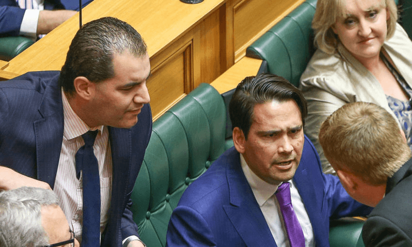 Jami-Lee Ross and Simon Bridges in parliament during happier times, last November. Photo by Hagen Hopkins/Getty Images 
