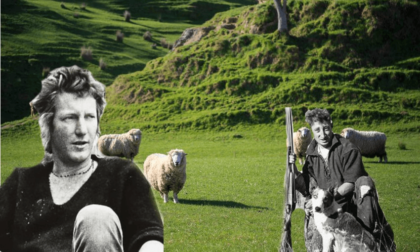 Sam Hunt and Barry Crump with some sheep and some grass 
