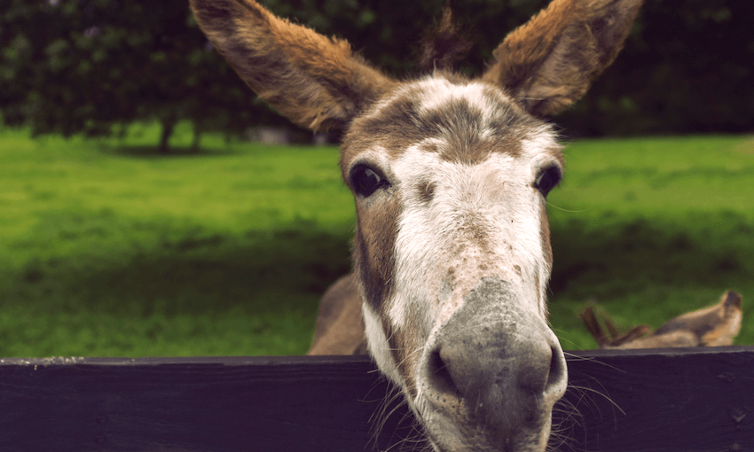 The Friday Poem: ‘After Lucy Tinakori’s Famous Party’ by Vincent O’Sullivan