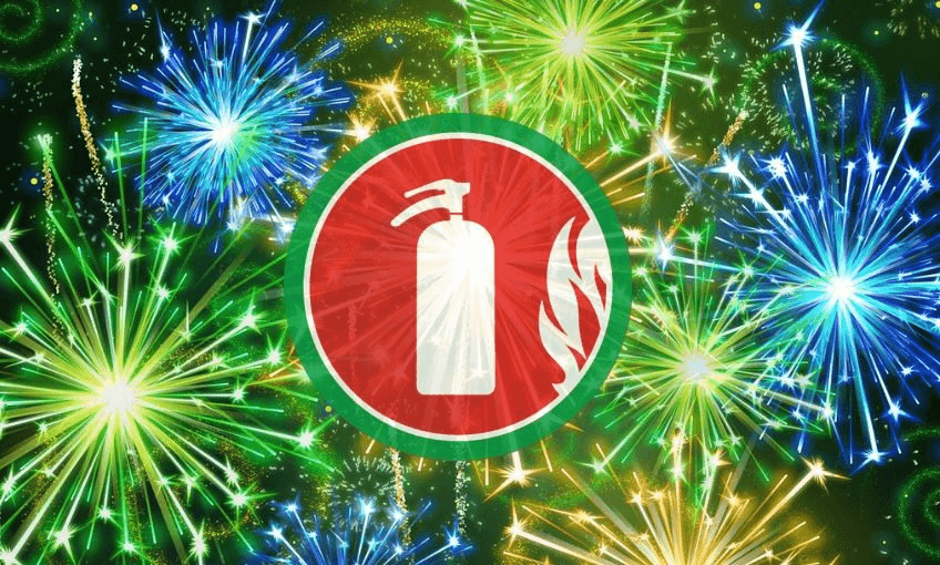 A call for a ban on fireworks was one of the remits passed by the conference  
