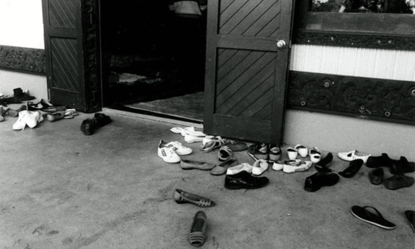 (Photo: Gil Hanly, Te Ara) 
