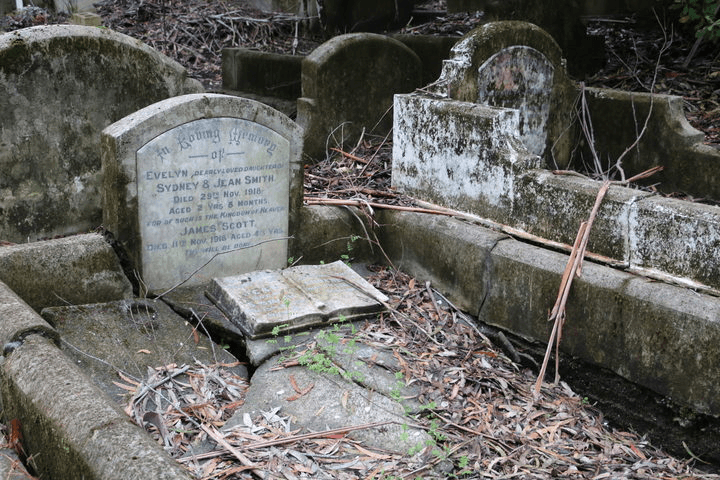 Karori Cemetery, Wellington – One of many graves on those who died of the flu in 1918 Photo: RNZ/Philippa Tolley 
