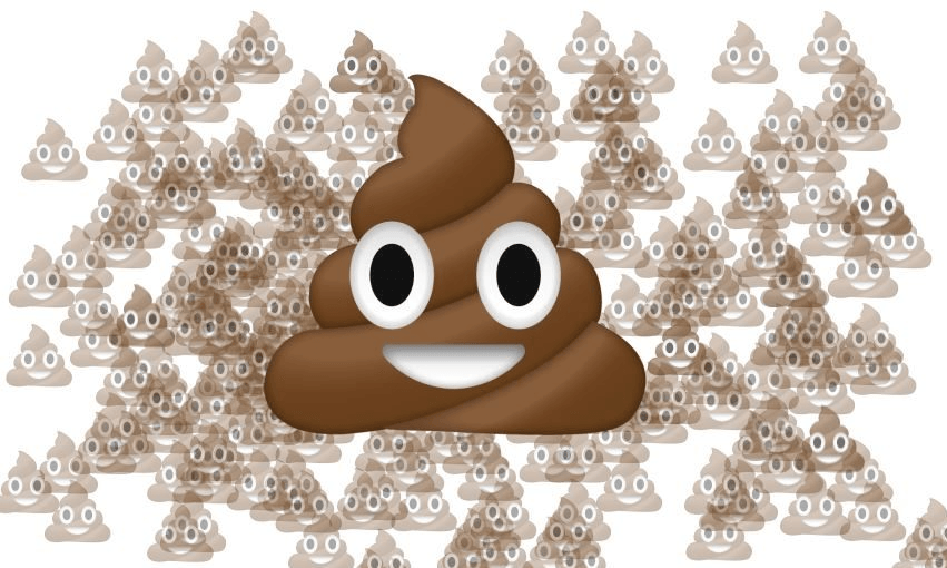 Your poo is alive (mostly). Here is what’s in it