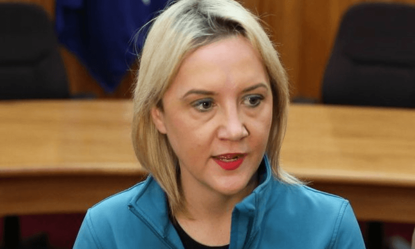 Former education minister Nikki Kaye (Radio NZ; Tom Furley)  
