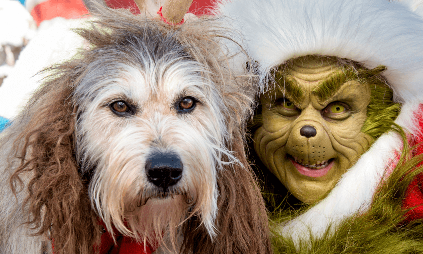 (Photo by Leonard Ortiz/Digital First Media/Orange County Register via Getty Images) 
