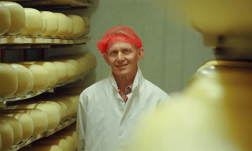 ALBERT ALFERINK AND HIS MATURING CHEESES AT THE MERCER CHEESE FACTORY (PHOTO: JOSÉ BARBOSA) 
