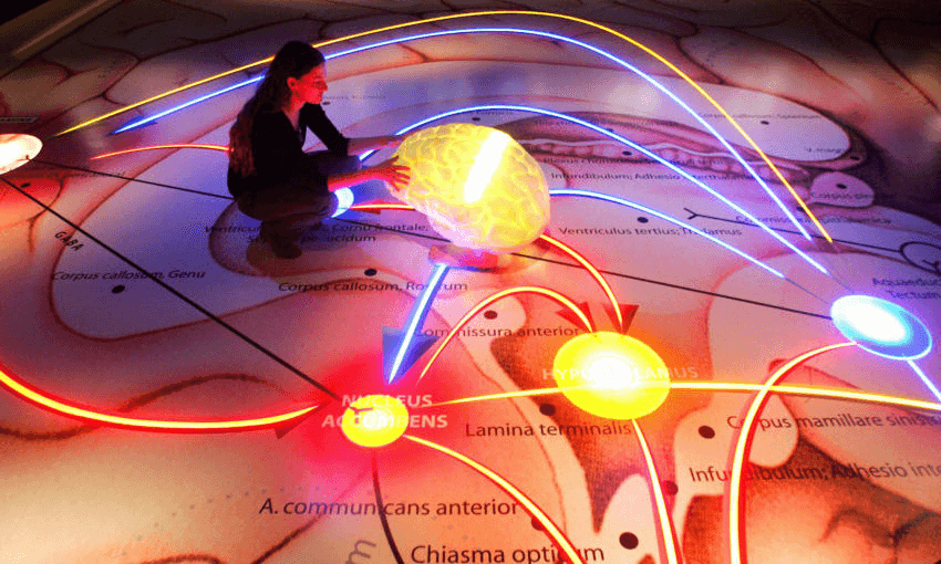 The ‘Neurons-Room’ in the exhibition Glueck – Welches Glueck at the Deutsches Hygiene Museum in Dresden, Germany, 2008. Photo: NORBERT MILLAUER/AFP/Getty Images 
