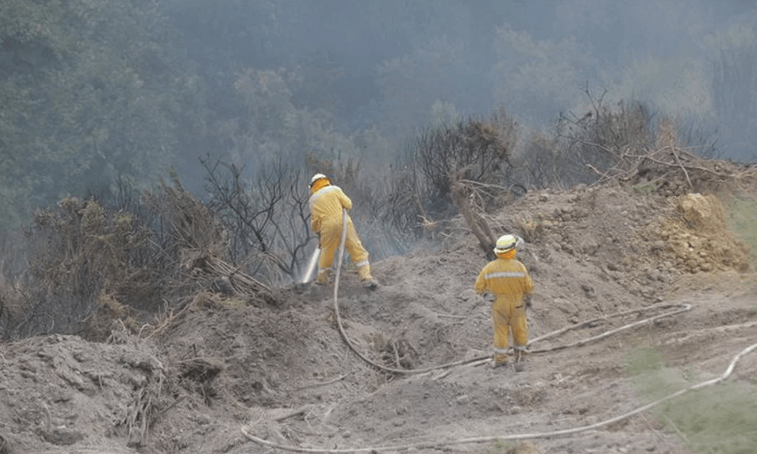 Firefighters putting out hotspots after the Nelson fires (Radio NZ: Dan Cook) 
