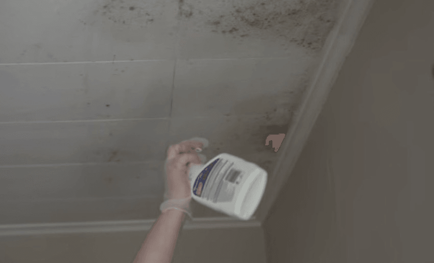 Cleaning mould from the ceiling of a damp rental 
