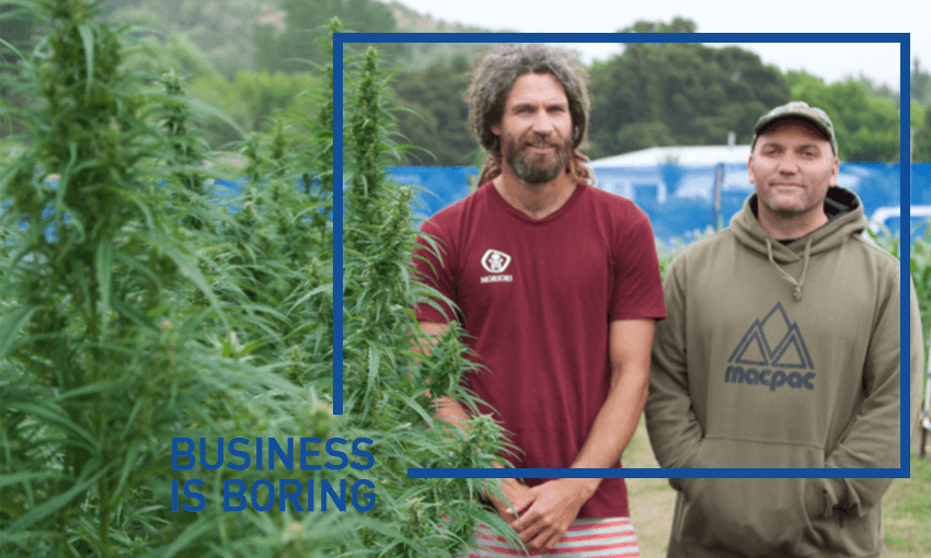 Hikurangi Cannabis Company’s Panapa Ehau (co-founder/managing director) and Manu Caddie (co-founder/CE)) 
