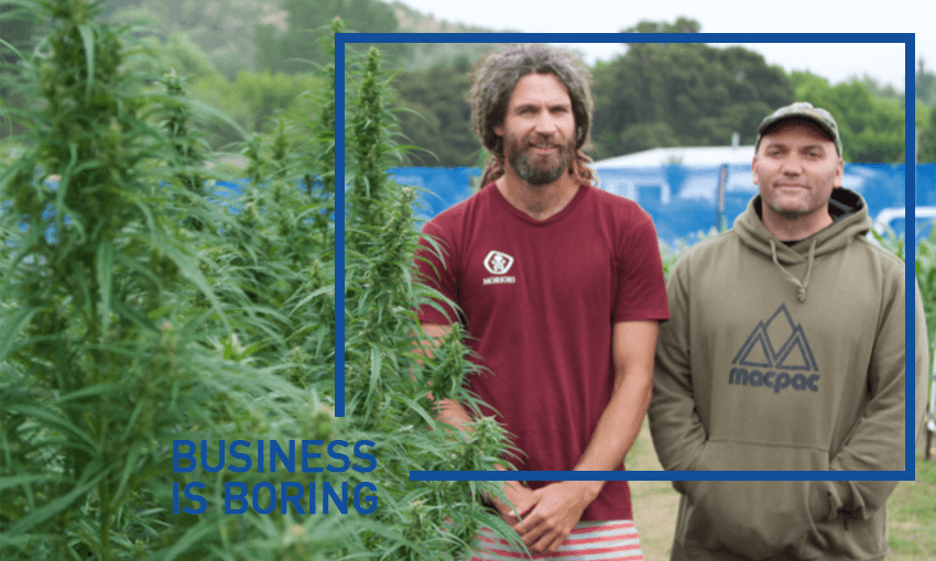 Hikurangi Cannabis Company’s Panapa Ehau (co-founder/managing director) and Manu Caddie (co-founder/CE))