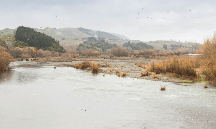The Tukituki River Photo: RNZ / Claire Eastham-Farrelly 

