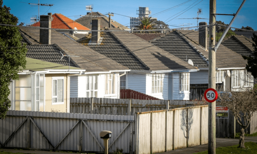 State housing in the Hutt Valley (Radio NZ: Alexander Robertson)  
