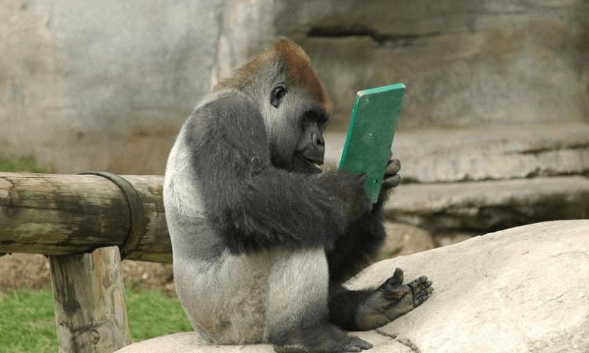 unity-main-850&#215;510