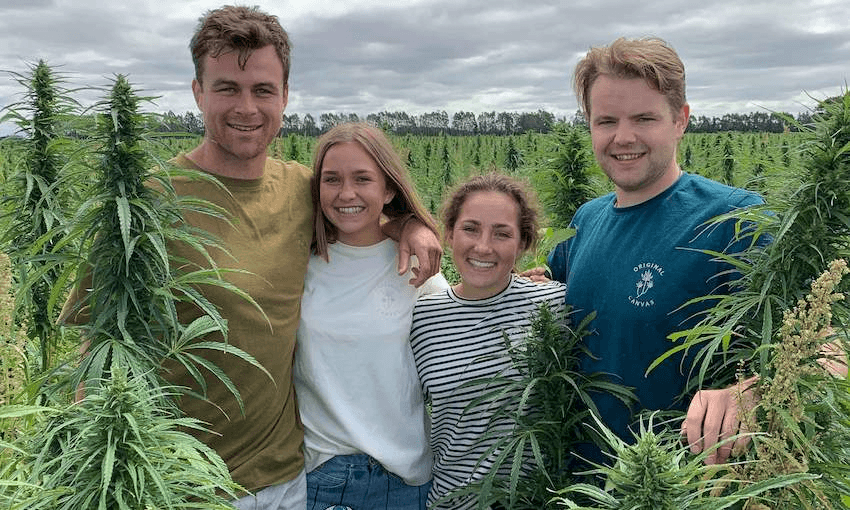 The Brothers Green: Brad Lake and Brendon McIntosh in their hemp crop with Rosa and Margo Flanagan, who’ve helped them develop recipes for their hemp products (Photo: Supplied) 
