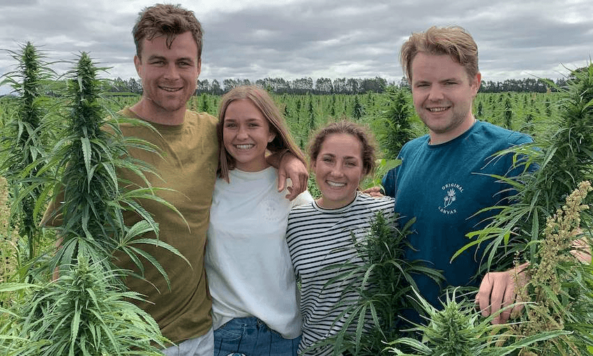 The Brothers Green: Brad Lake and Brendon McIntosh in their hemp crop with Rosa and Margo Flanagan, who’ve helped them develop recipes for their hemp products (Photo: Supplied)