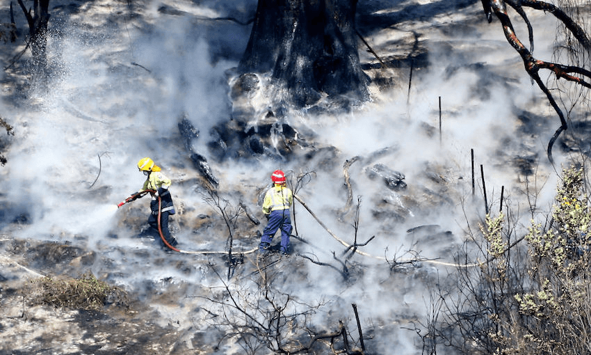 Fires burnt across the Tasman district in February (Photo: Evan Barnes/Getty Images)