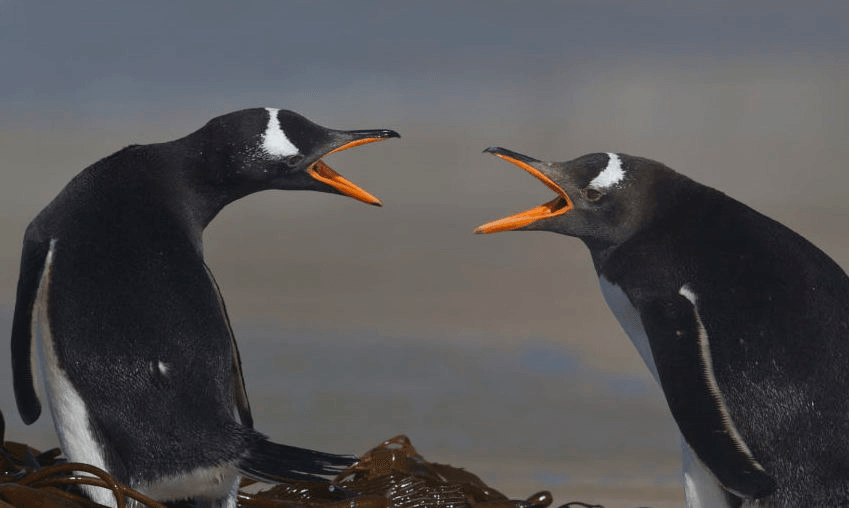 Your vaccine reporting should not look like this. Photo: Getty 
