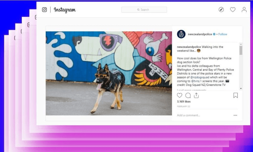 how-cool-dog-police-instagram