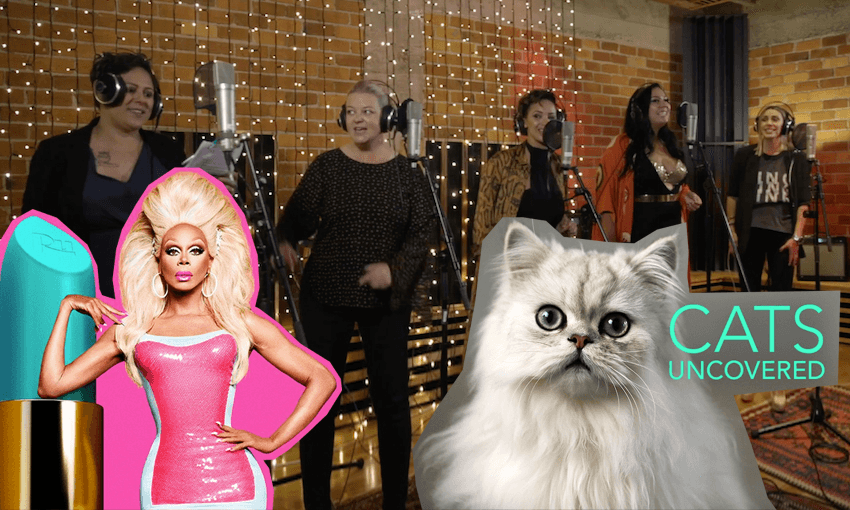 Some soothing shows to ease you into the weekend. 
