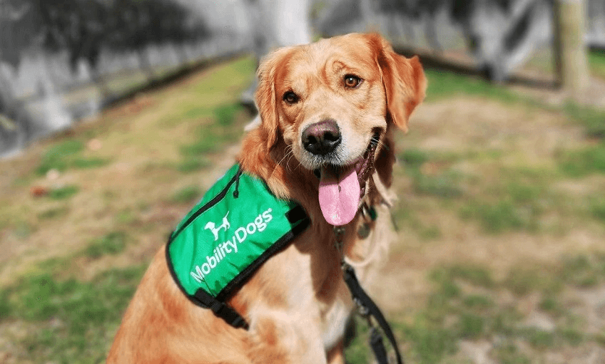 Darcy at work (Photo: Supplied) 
