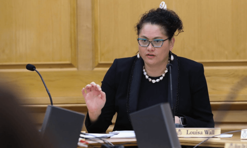 Louisa Wall on the health select committee in 2019 (Photo: Radio NZ/ Phil Smith)  
