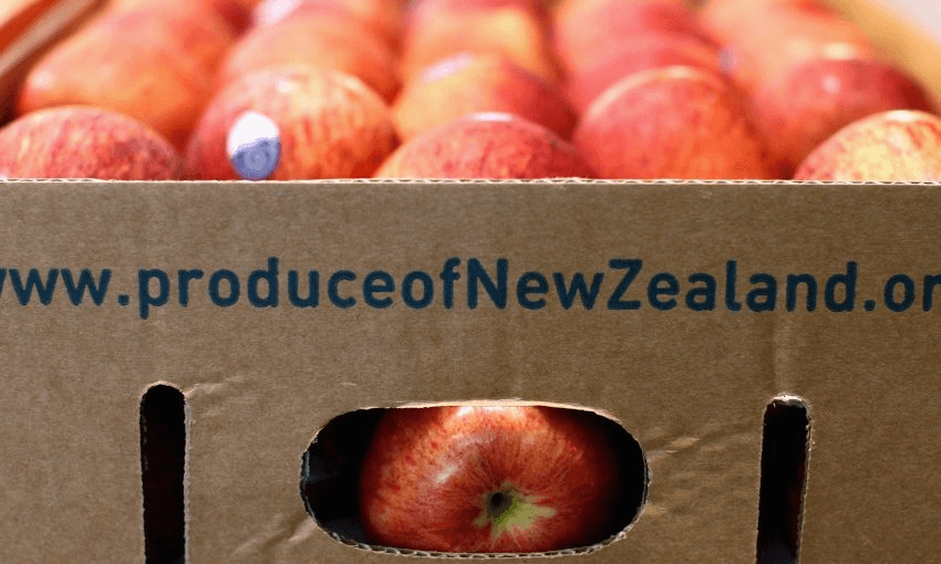 A cardboard box filled with apples. On the box it reads, 'produce of New Zealand'.