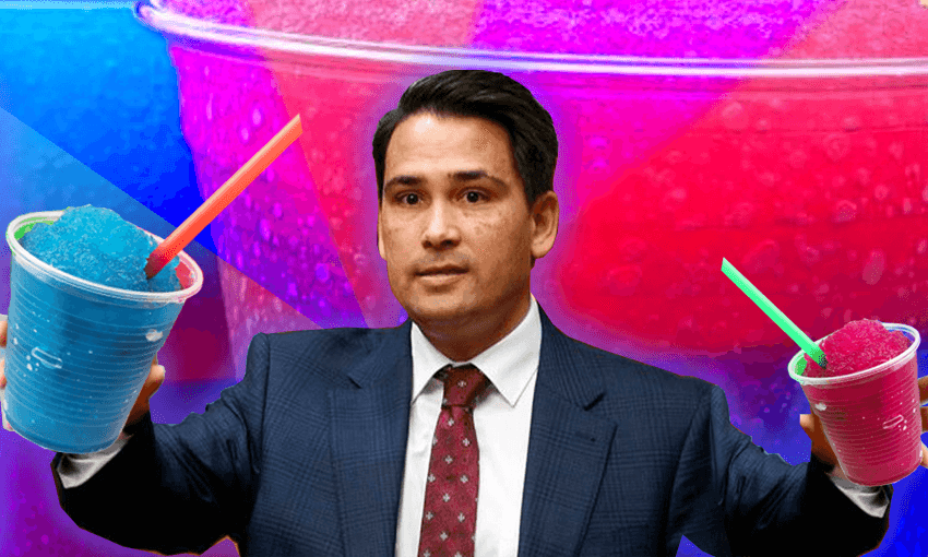 A very serious politician (Image: Tina Tiller)