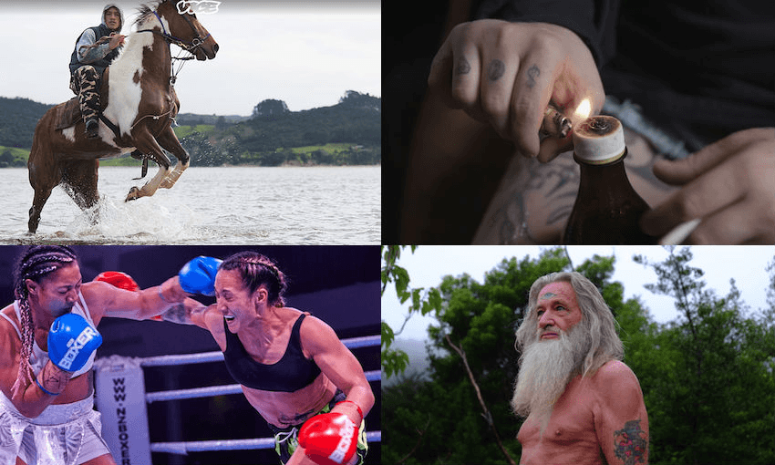 A collage of images from feature stories on Vice NZ, which closed in 2019  
