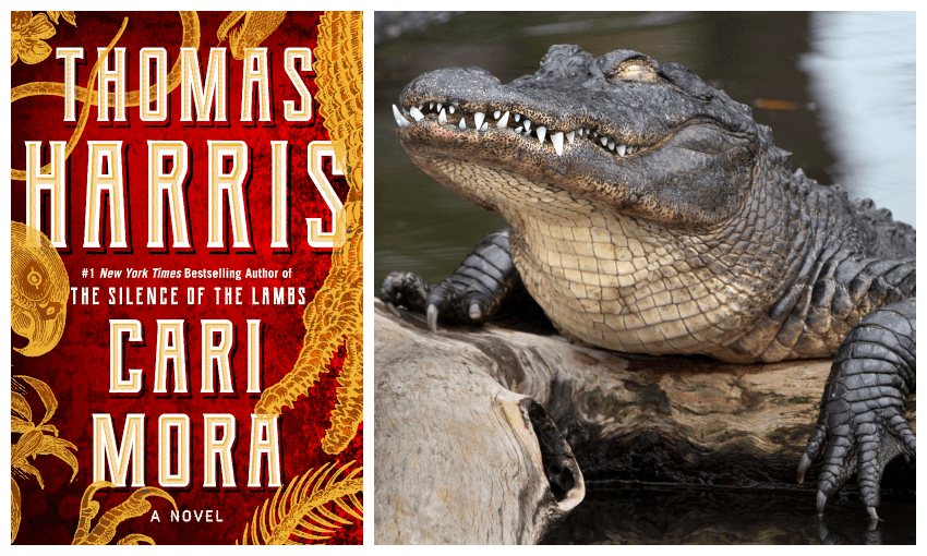 A new horror: Thomas Harris’s Cari Mora, reviewed