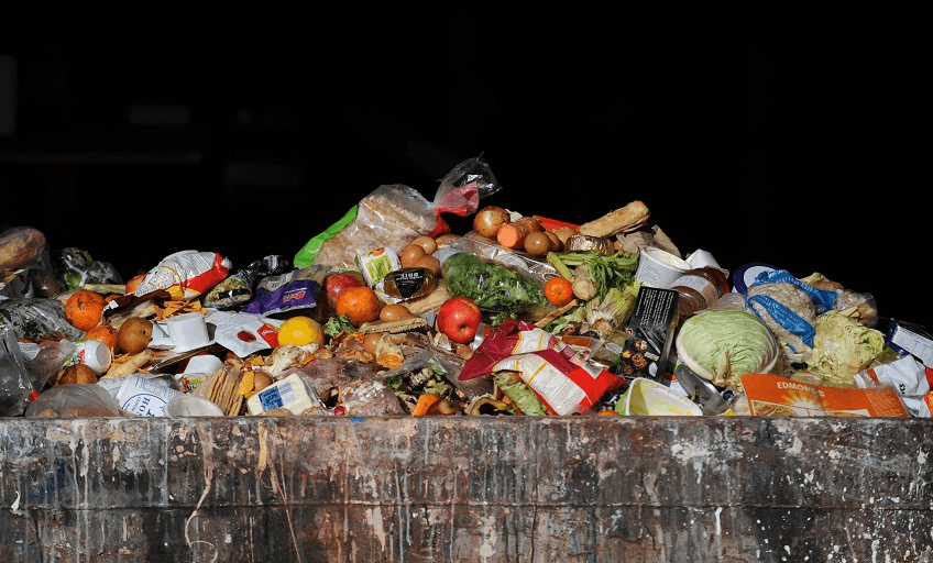 On a global scale, more than $1.2 trillion worth of food goes to landfill every year (Photo: Supplied) 
