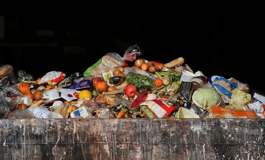 On a global scale, more than $1.2 trillion worth of food goes to landfill every year (Photo: Supplied)