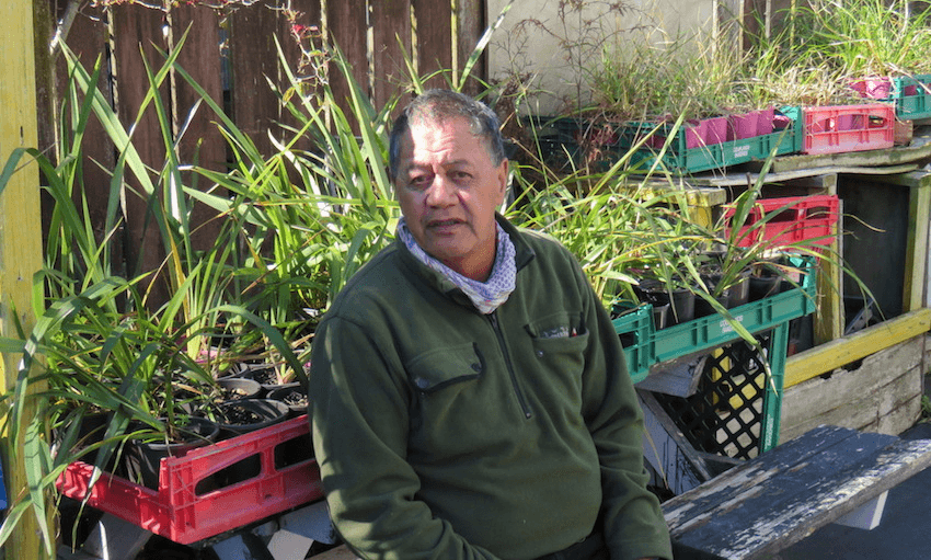 Hone Pene enjoying the sun at one of the Recovery First nurseries. (Photo: Teuila Fuatai)